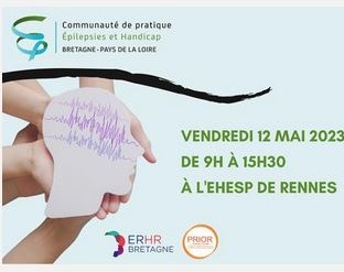 Plénière de la CoP Épilepsies et Handicap Bretagne / Pays de la Loire